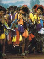 Swaziland reed dance