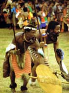 Swaziland reed dance men